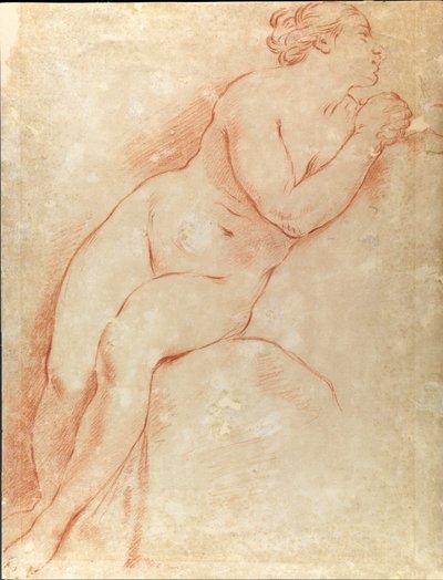 Studie eines weiblichen Aktes von Carlo Cignani